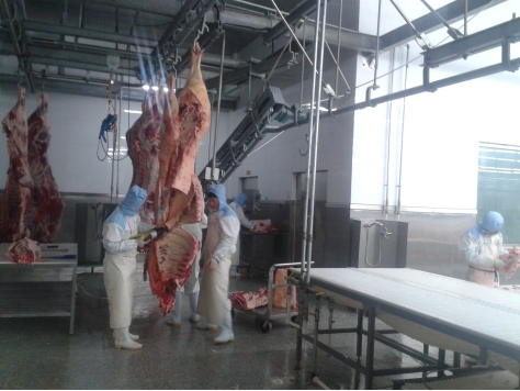牛屠宰设备说明